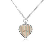 Collier funéraire pour animaux de compagnie - Bijou commémoratif pour chien/chat avec entonnoir, pendentif en forme de cœur et chaîne de 70,1 cm, collier urne à rayures pour animal domestique