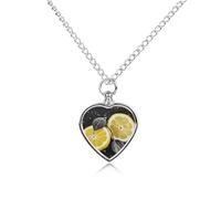 Collier funéraire pour animaux de compagnie - Bijou commémoratif pour chien/chat avec entonnoir, pendentif en forme de cœur et chaîne de 70,1 cm, citron avec urne noire et blanche, cadeau souvenir