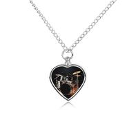 Collier funéraire pour animaux de compagnie - Bijou commémoratif pour chien/chat avec entonnoir, pendentif en forme de cœur et chaîne de 70,1 cm, collier urne de batteur, cadeau souvenir pour perte