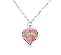 Collier funéraire pour animaux de compagnie - Bijou commémoratif pour chien/chat avec entonnoir, pendentif en forme de cœur et chaîne de 70,1 cm, collier urne à motif pêche, cadeau souvenir pour perte