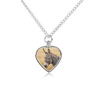 Collier funéraire pour animaux de compagnie - Bijou commémoratif pour chien/chat avec entonnoir, pendentif en forme de cœur et chaîne de 70,1 cm, collier urne en forme d'âne, cadeau souvenir pour