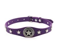 Collier gothique réglable en alliage avec étoile à cinq branches pour clavicule Harajuku avec accessoires punk foncés (collier) Violet