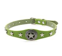 Collier gothique réglable en alliage avec étoile à cinq branches pour clavicule Harajuku avec accessoires punk foncés (col) Vert