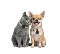 Collier GPS Chat, Traceur GPS Chien Chat Compatible avec iOS et Android, sans Carte SIM/Abonnement Mensuel, Suivi en Temps Réel Traceur Collier Traceur pour Chien,Chats,Voitures Étanchéité IPX6