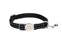 Collier gravé personnalisé pour animal de compagnie, collier pour chat et chien avec plaque anti-perte à faire soi-même, collier pour chihuahua, carlin, labrador, F