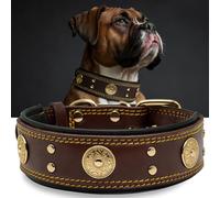 Collier Gros Chien, en Cuir Vrai de 5 cm de Largeur, Artisanal, Robuste, Doux, Luxueux, Attirant l'Œil : Le Meilleur Choix pour Les Races de Chiens de Grande et Moyenne Taille Noir doré S