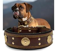 Collier Gros Chien, en Cuir Vrai de 5 cm de Largeur, Artisanal, Robuste, Doux, Luxueux, Attirant l'Œil : Le Meilleur Choix pour Les Races de Chiens de Grande et Moyenne Taille Marron doré S