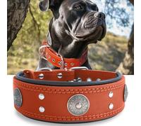 Collier Gros Chien, en Cuir Vrai de 5 cm de Largeur, Artisanal, Robuste, Doux, Luxueux, Attirant l'Œil : Le Meilleur Choix pour Les Races de Chiens de Grande et Moyenne Taille, 50-60 cm, Orange