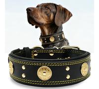 Collier Gros Chien, en Cuir Vrai de 5 cm de Largeur, Artisanal, Robuste, Doux, Luxueux, Attirant l'Œil : Le Meilleur Choix pour Les Races de Chiens de Grande et Moyenne Taille Marron doré M