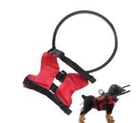 Collier Halo pour chien aveugle - Barrière circulaire flexible pour la perte de vision, ceinture de sécurité des animaux | Design de guidance confortable, thème de marche en plein air, anneau de tête