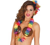 Collier Hawaïen Multicouleur (Taille Sans Taille) Multicolore