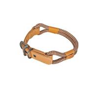 Collier IMAO Hyde park. 11 mm x 60 cm. chocolat . pour chien.