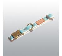 Collier Imao Taiga Bleu Pour Chien 15mm