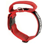 Collier Julius K9 Color & Gray avec poignée et fermeture de sécurité pour chiens