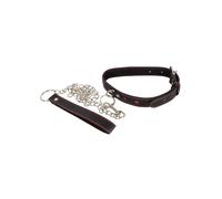 Collier & Laisse Coeurs