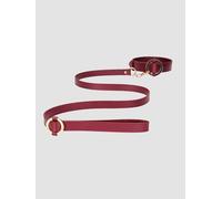 Collier & Laisse Halo