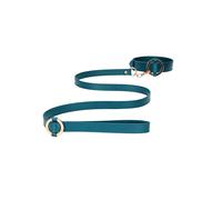 Collier & Laisse Halo