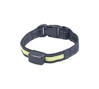 Infactory Collier à LED avec chargement cinétique - Petits chiens