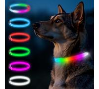 Collier LED Lumineux pour Chien, Ajustable pour Moyens et Grands Chiens | 6 Couleurs, 3 Modes (dont Flash), Rechargeable USB-C, Coupe sur Mesure, 68cm