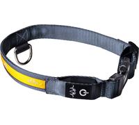Collier LED pour chien Blaser M