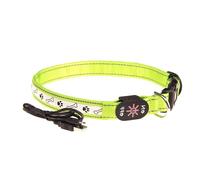 Collier LED pour Chien, Lumineux Clignotant Rechargeable USB Haute | Nylon Ajustable, Vert, Balades Nocturnes, Camping et Randonnées, Sécurité