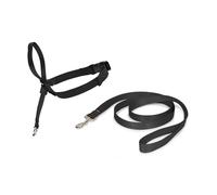 Harnais Easywalk Pour Chien Noir - Taille S