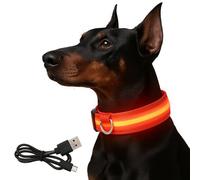 Collier lumineux à LED pour chien, réglable et rechargeable - Collier de sécurité nocturne pour chiens de petite, moyenne et grande taille, étanche, charge USB, brille dans le noir (charge USB rouge