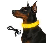 Collier lumineux à LED pour chien, réglable et rechargeable - Collier de sécurité nocturne pour chiens de petite, moyenne et grande taille, étanche, charge USB, brille dans le noir (charge USB jaune