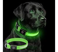 Collier Lumineux Chien, Collier LED Chien Rechargeable Colliers pour Chiens | 60 cm Dog Collar 3 Modes d'éclairag Cadeaux Chiens pour Animaux de Compagnie de Taille Moyenne et Grande (Vert, L)