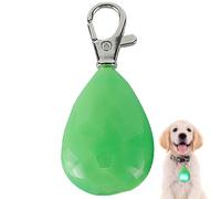 Collier Lumineux LED pour Animal,Sécurité à Recharge USB | Pendentif LED pour Collier d'animal - pour Les Sorties Nocturnes, Jardin, soirée, Running, vélo, Camping