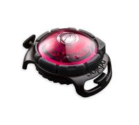 Collier lumineux Orbiloc LED Rose