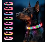 Collier Lumineux pour Chien, Collier LED Rechargeable pour Nuits(Rose, M) | 8 Couleurs Changeantes, Clignotement RGB Multicolore, Collier de Sécurité Ajustable, Visibilité Super Lumineuse & Respirant