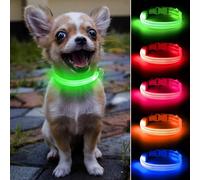 Collier lumineux pour chien - Collier LED réfléchissant pour chiot et chat - Collier phosphorescent - Lumières de sécurité pour chiens pour promener la nuit (XS, vert)