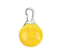 Collier Lumineux pour Chien - Étiquette LED à Clipser pour Animal de Compagnie, Collier pour Chien résistant à l'eau, Accessoire de Nuit LED étanche pour Animaux de Compagnie, ère de sécurité