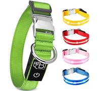 Collier Lumineux pour Chien - Rechargeable par USB - Collier Chien Lumineux LED Étanche - Nylon renforcé - Haute Qualité, Stabilité & Sécurité - Fermoir en métal - Pour petits, moyens et gros chiens