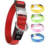 Collier Lumineux pour Chien - Rechargeable par USB - Collier Chien Lumineux LED Étanche - Nylon renforcé - Haute Qualité, Stabilité & Sécurité - Fermoir en métal - Pour petits, moyens et gros chiens
