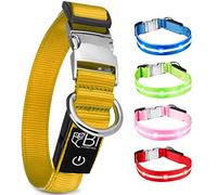 Collier Lumineux pour Chien - Rechargeable par USB - Collier Chien Lumineux LED Étanche - Nylon renforcé - Haute Qualité, Stabilité & Sécurité - Fermoir en métal - Pour petits, moyens et gros chiens