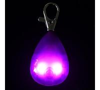 Collier Lumineux pour Chien - Rechargeable par USB pour la sécurité | Charme de Collier pour Chien - pour l'Après-midi, en Soirée, en Camping, dans Le Jardin, dans la Cour, l'Arrière-Cour