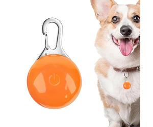Collier Lumineux pour Chien - Visibilité des Animaux Résistant À La Pluie, Dispositif D'avertissement Lumineux, Accessoire De Cou Réglable | Itinéraire Sensibilisation Jogging Trekking Campin