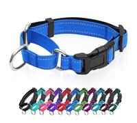 Collier martingale réfléchissant pour chien avec boucle à dégagement rapide Collier réglable rembourré en nylon respirant Convient aux chiots pour chiens de petite, moyenne et grande taille