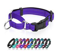 Collier martingale réfléchissant pour chien avec boucle à dégagement rapide Collier réglable rembourré en nylon respirant Convient aux chiots pour chiens de petite, moyenne et grande taille