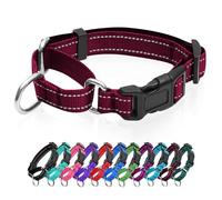 Collier martingale réfléchissant pour chien avec boucle à dégagement rapide Collier réglable rembourré en nylon respirant Convient aux chiots pour chiens de petite, moyenne et grande taille