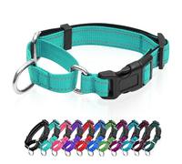 Collier martingale réfléchissant pour chien avec boucle à dégagement rapide Collier réglable rembourré en nylon respirant Convient aux chiots pour chiens de petite, moyenne et grande taille