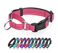 Collier martingale réfléchissant pour chien avec boucle à dégagement rapide Collier réglable rembourré en nylon respirant Convient aux chiots pour chiens de petite, moyenne et grande taille