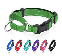 Collier martingale réfléchissant pour chien avec boucle à dégagement rapide Collier réglable rembourré en nylon respirant Convient aux chiots pour chiens de petite, moyenne et grande taille