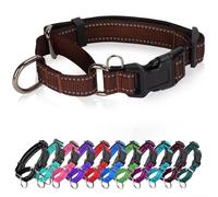 Collier martingale réfléchissant pour chien avec boucle à dégagement rapide Collier réglable rembourré en nylon respirant Convient aux chiots pour chiens de petite, moyenne et grande taille