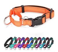 Collier martingale réfléchissant pour chien avec boucle à dégagement rapide Collier réglable rembourré en nylon respirant Convient aux chiots pour chiens de petite, moyenne et grande taille