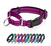 Collier martingale réfléchissant pour chien avec boucle à dégagement rapide Collier réglable rembourré en nylon respirant Convient aux chiots pour chiens de petite, moyenne et grande taille