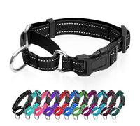 Collier martingale réfléchissant pour chien avec boucle à dégagement rapide Collier réglable rembourré en nylon respirant Convient aux chiots pour chiens de petite, moyenne et grande taille