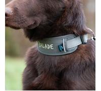 collier message Zen M - large collier pour chien